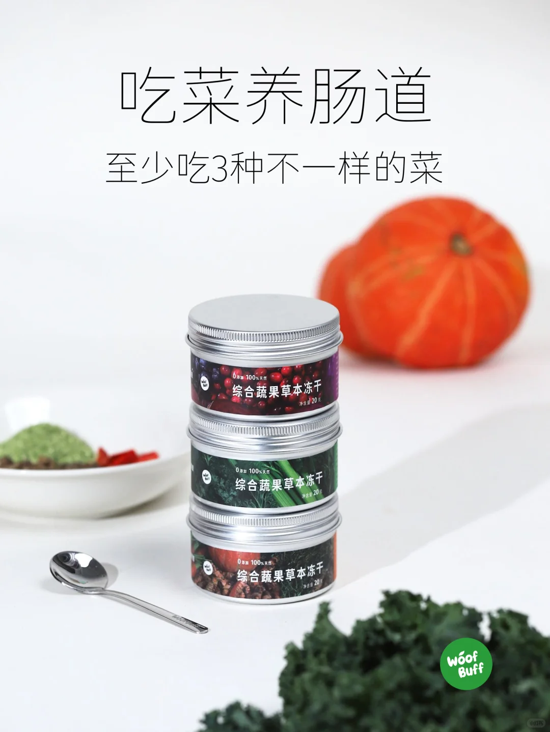 给毛孩子的植物养生智慧