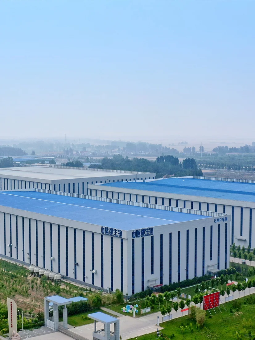 深扒肽都集团23条生产线背后的