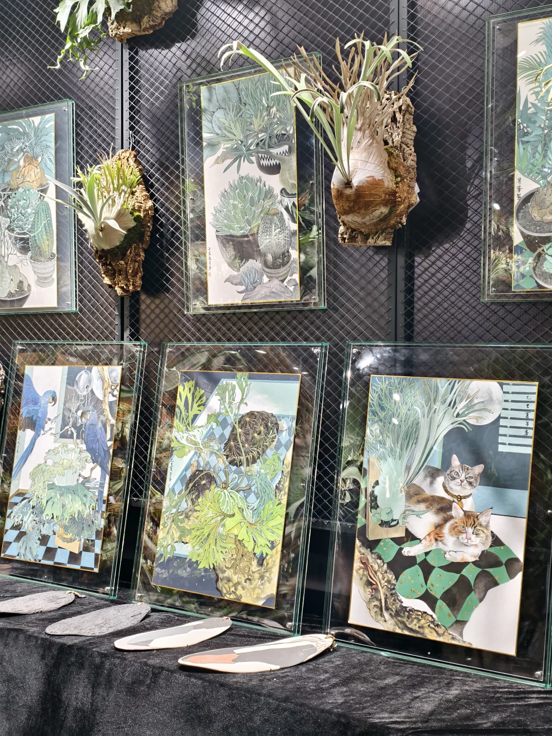 10.17live无锡热植展火热开展?中花大会