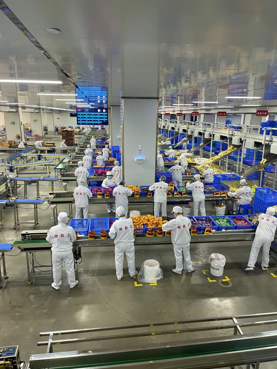 带大家参观——柳州螺霸王螺蛳粉生产线（二）