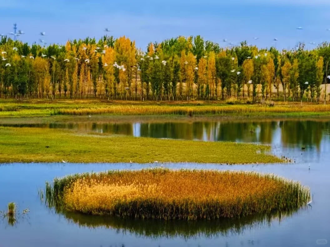 秋天的风,吹来了诗意和远方