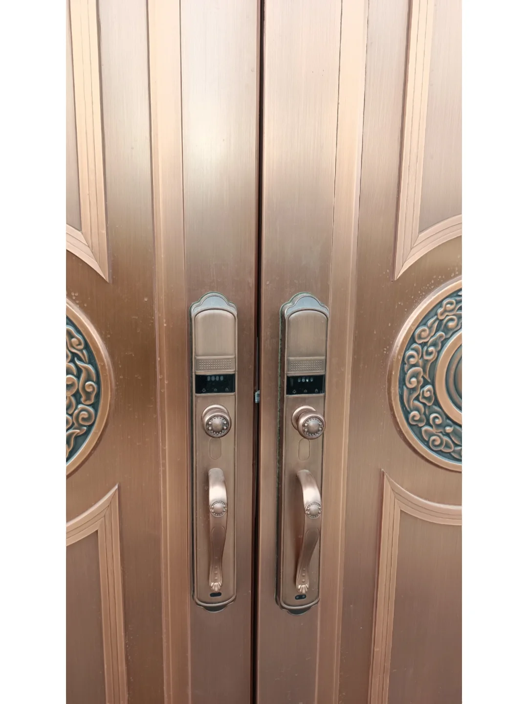 别墅庭院人脸识别门禁系统