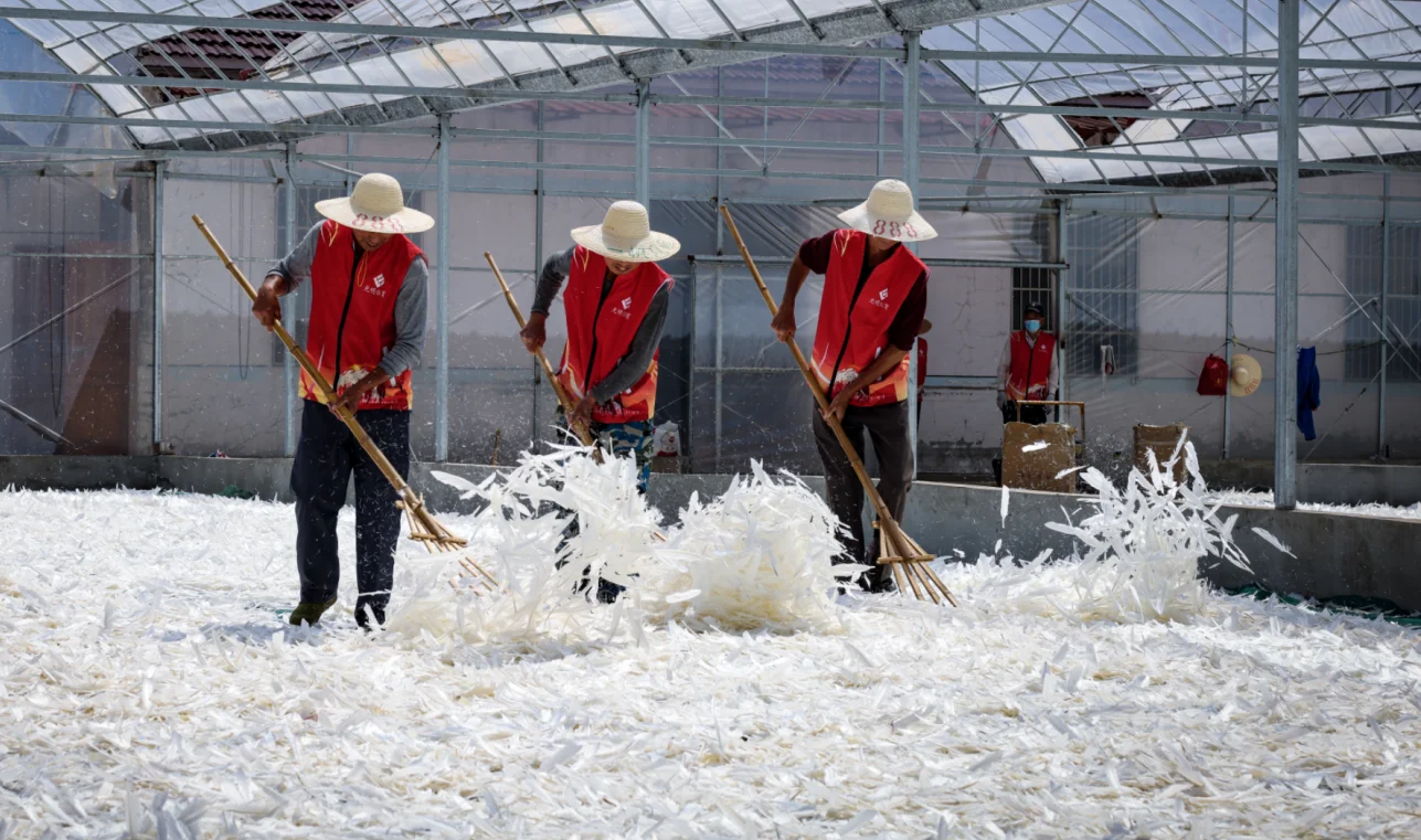 知道你们很急，翎美生产基地正加足马力生产