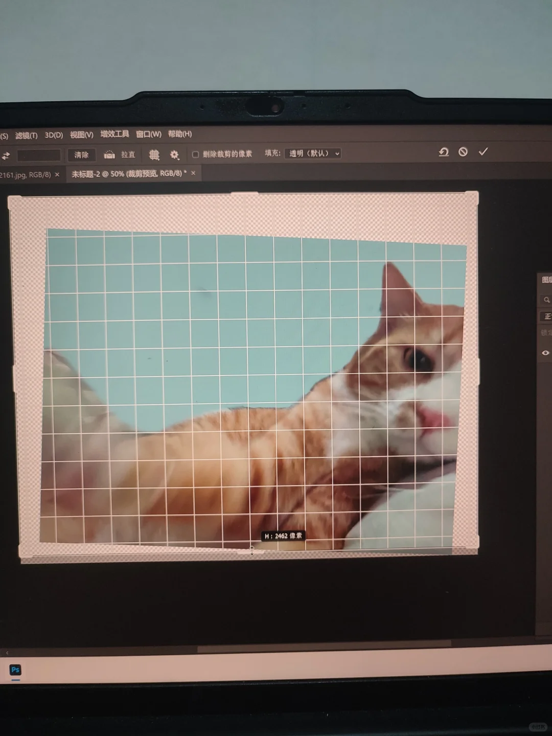 ps裁剪工具鼠标拖拽不精确怎么办