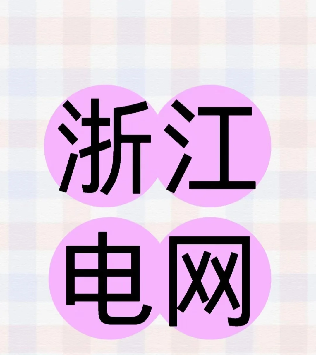 浙江电网网申咨询