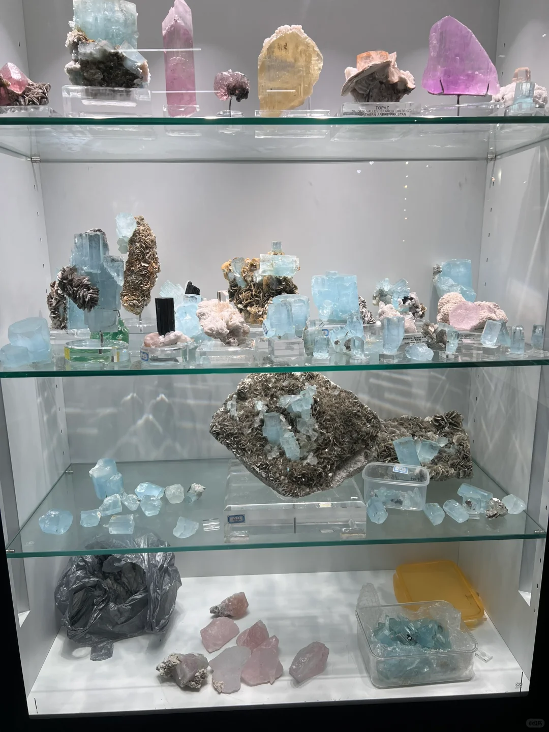 东海国际矿展会