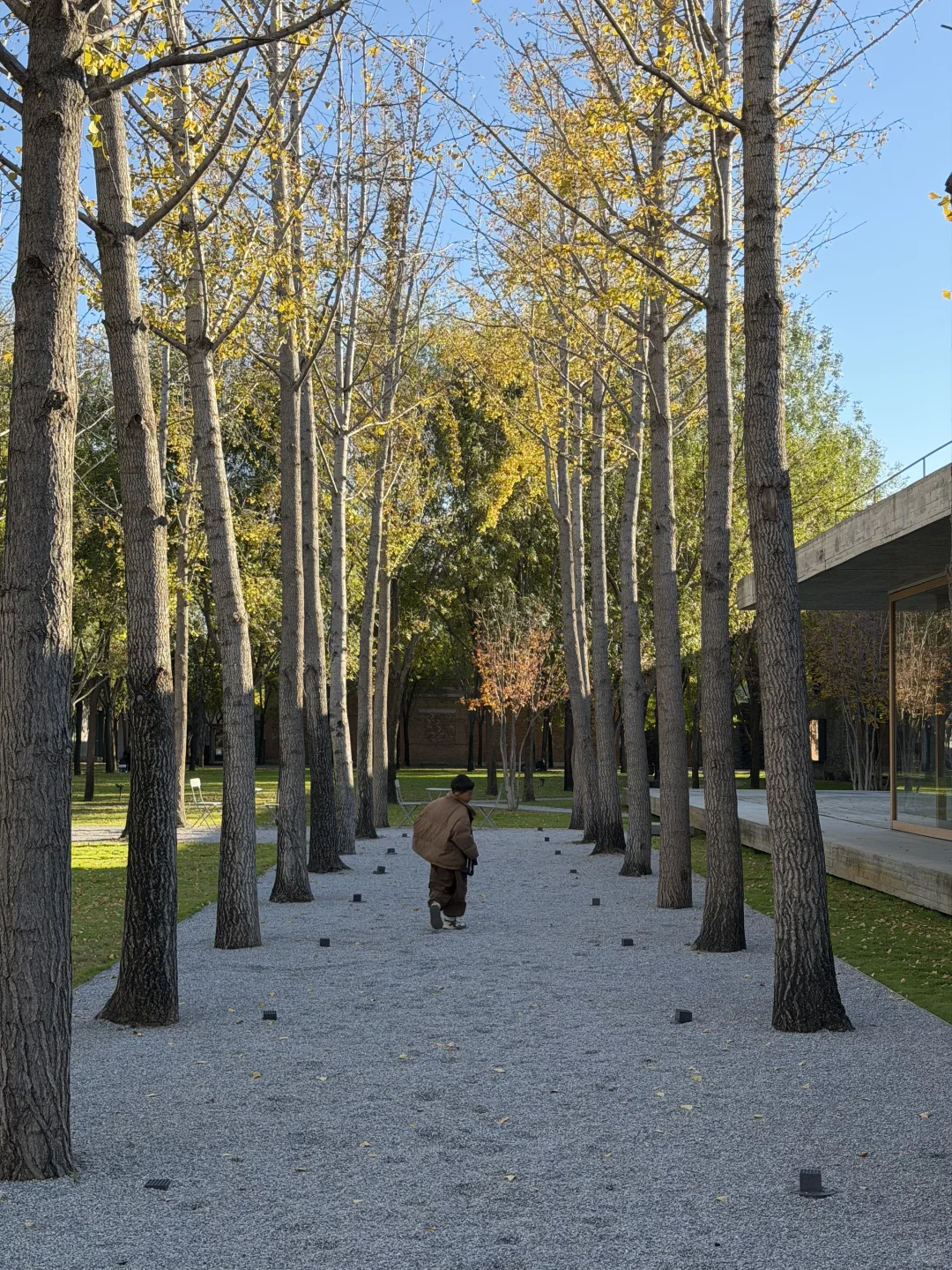 看展失败，变成工业遗产更新项目考察