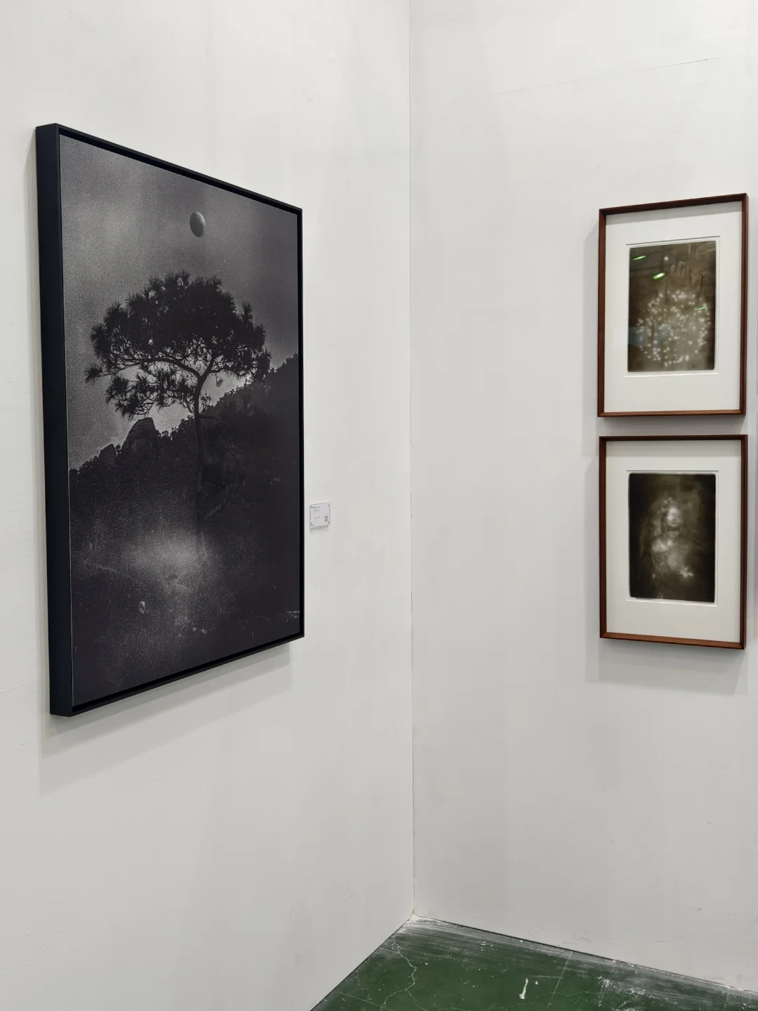  2025艺术厦门国际博览会开展啦大饱眼福啊