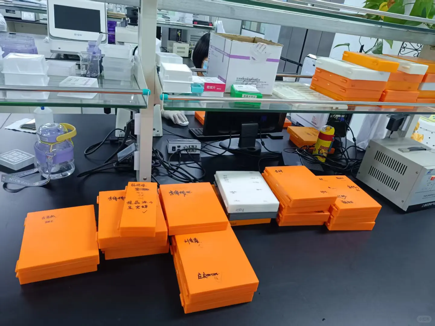 救命～实验外包真救命!