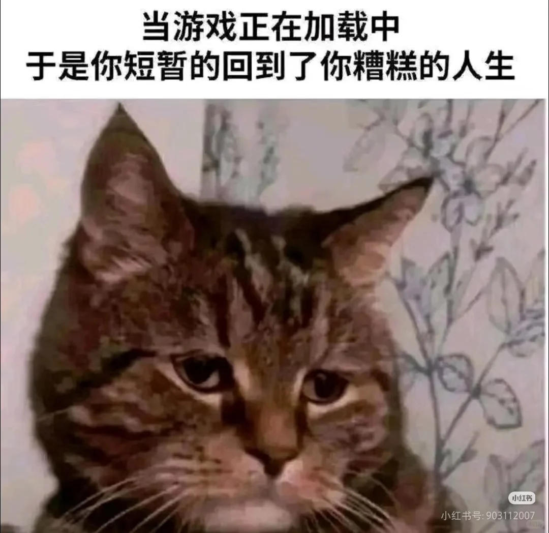 机械女一辈子应该找4个男朋友