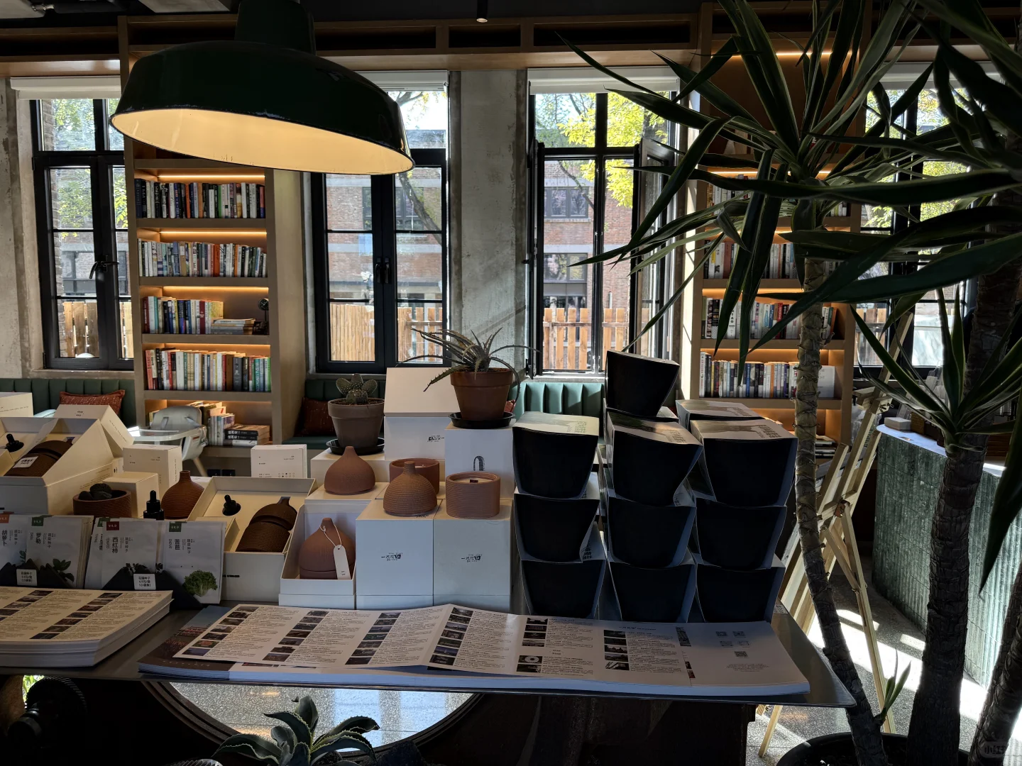 旧厂换新颜-钢架上的绿藤光阴