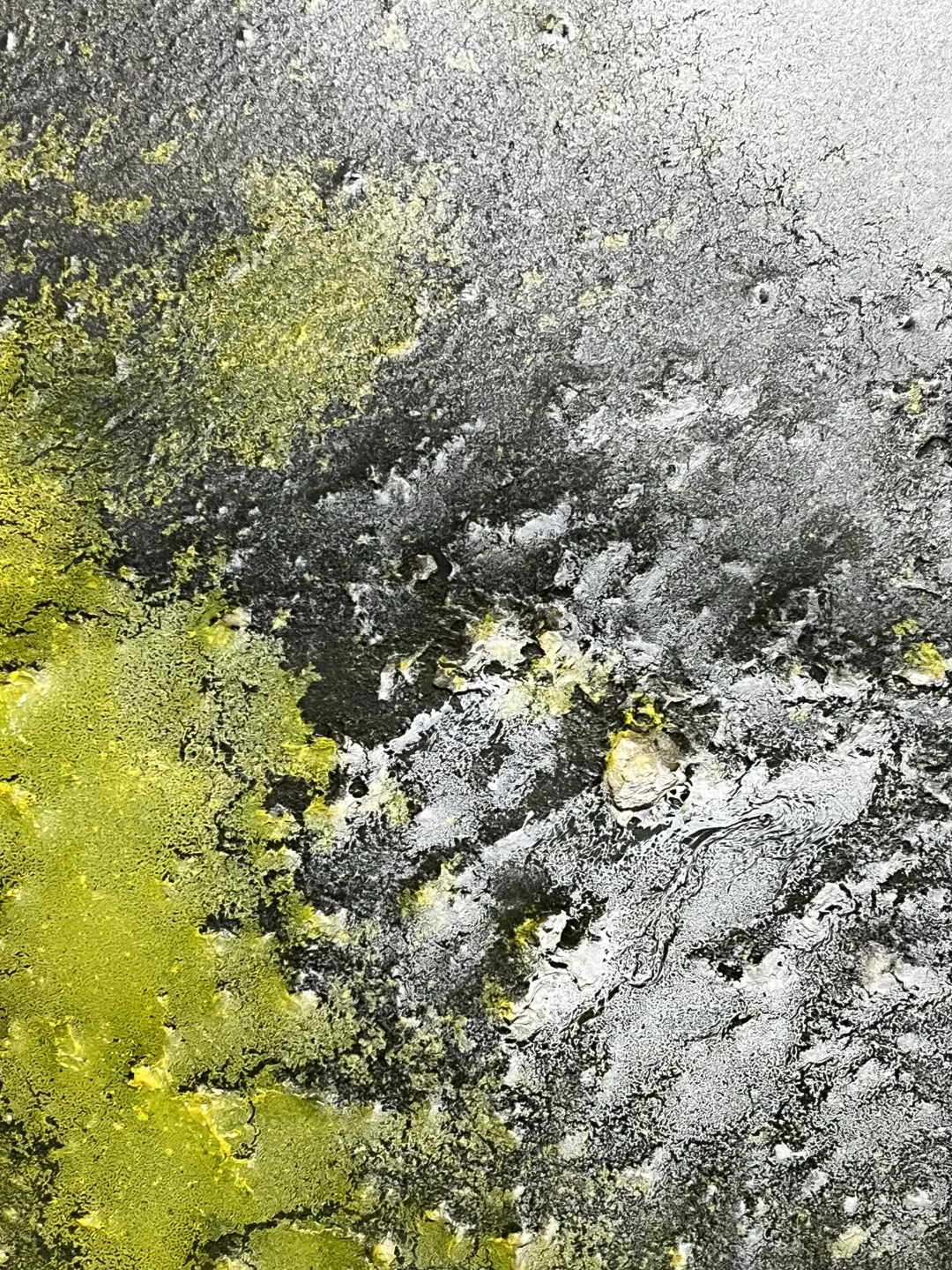 露珠与闪电：郑忠《文脉之光》的刹那澄明