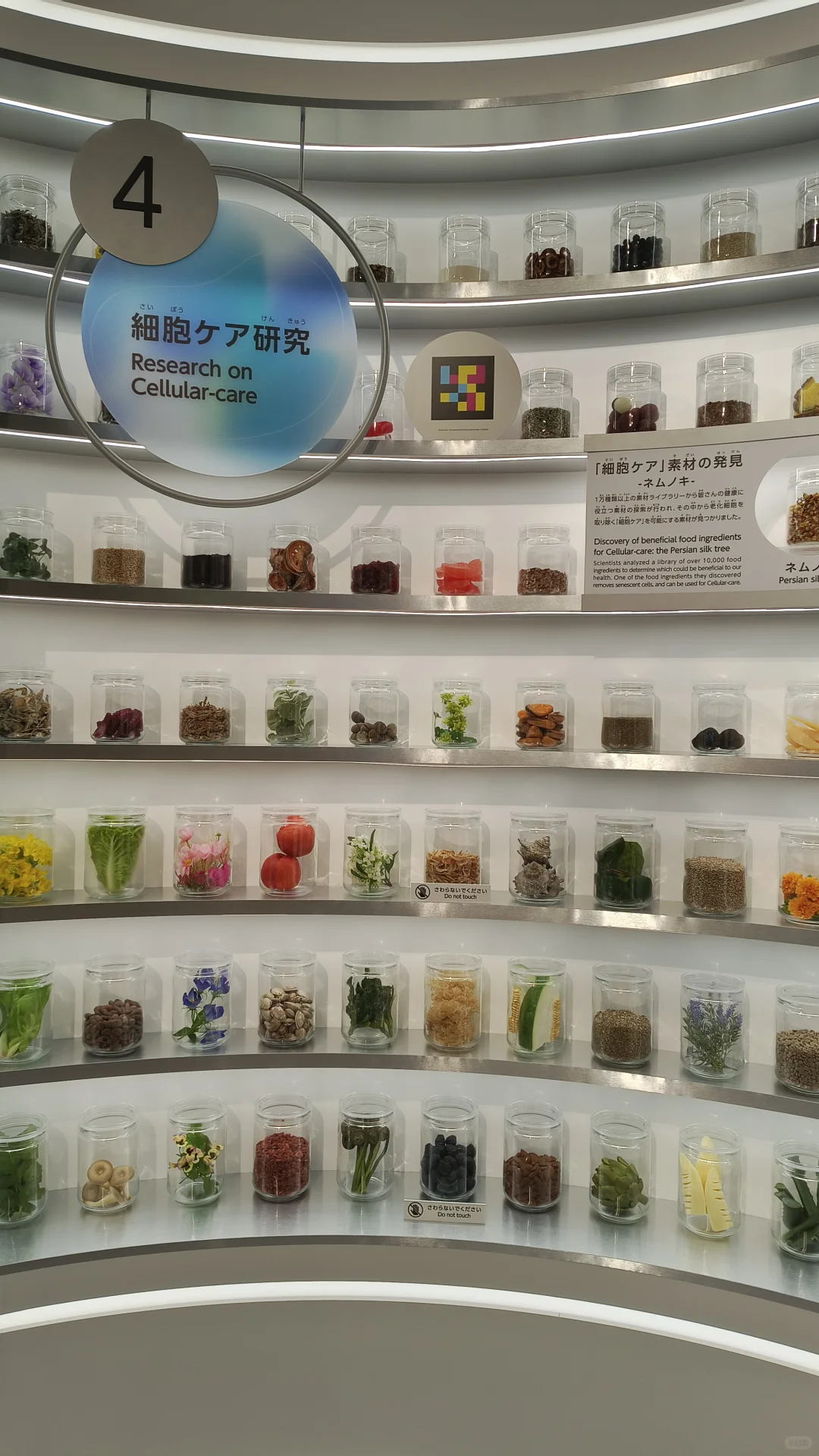 大阪expo健康馆 去过了