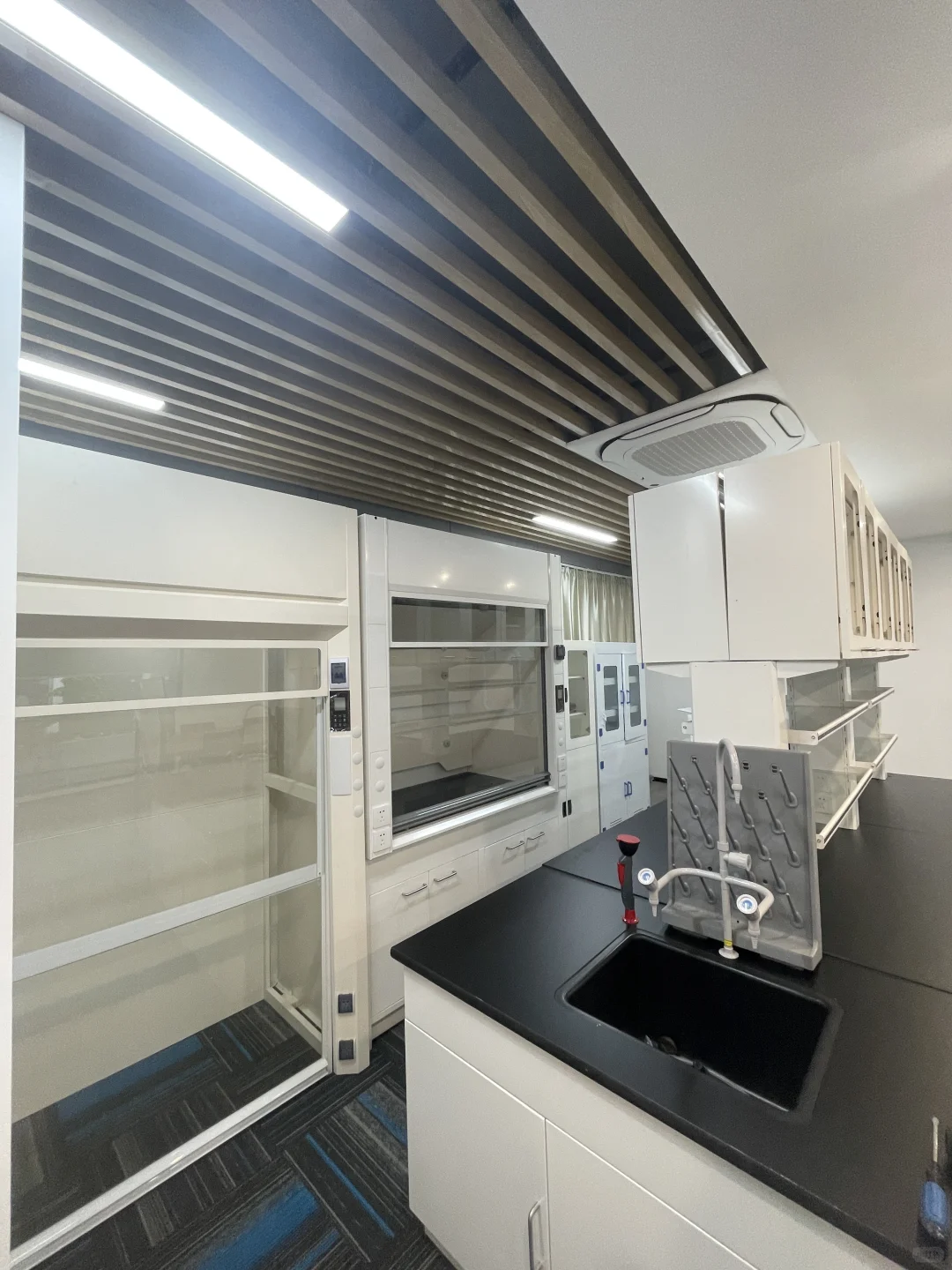 来看看这些实验室的“工作伙伴”们吧～