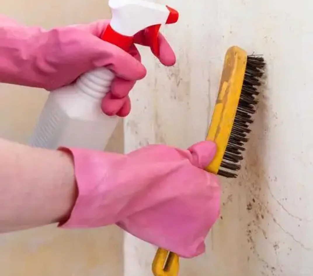 2024年墙面涂防水防霉乳胶漆成本测算分析