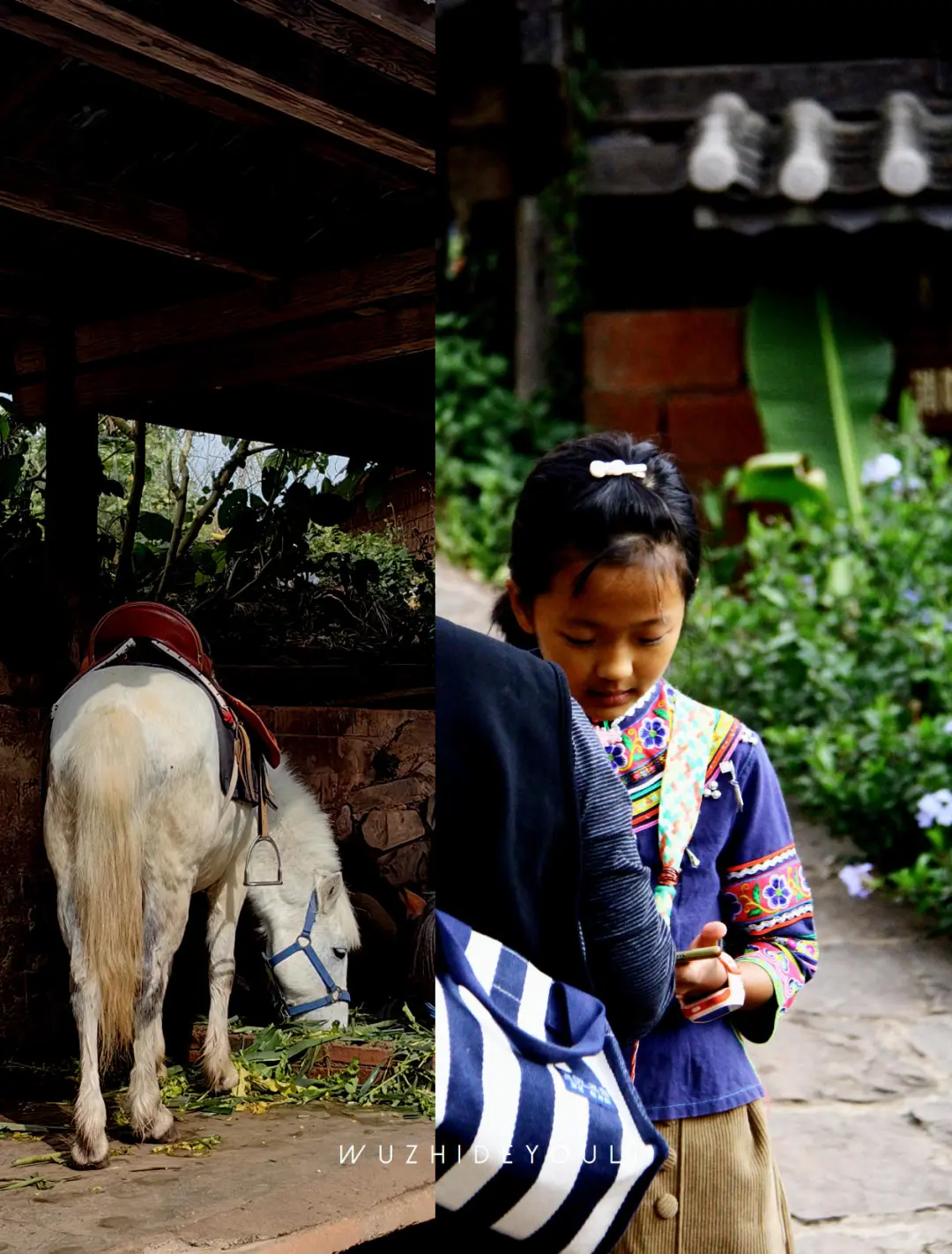 茶香漫古道时，体味那柯里戴家巷的古今对话