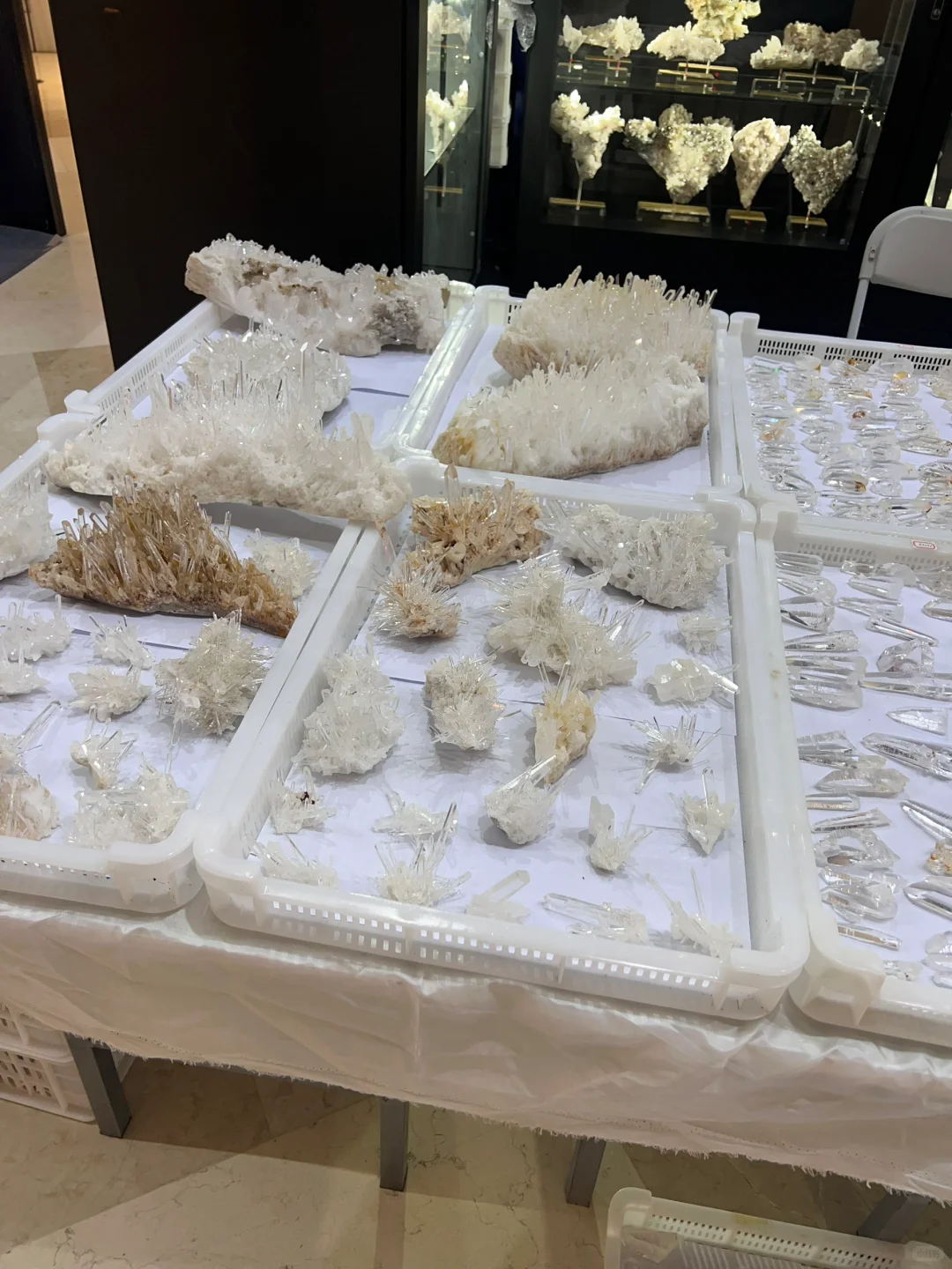 东海国际矿展会