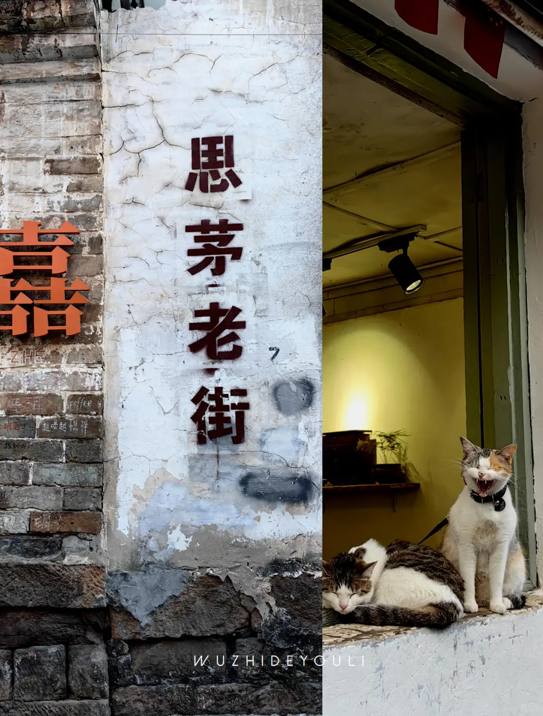 茶香漫古道时，体味那柯里戴家巷的古今对话