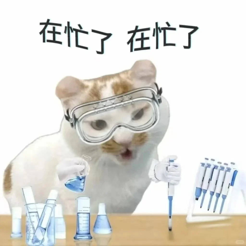 每次做实验前都得先哄一下机子