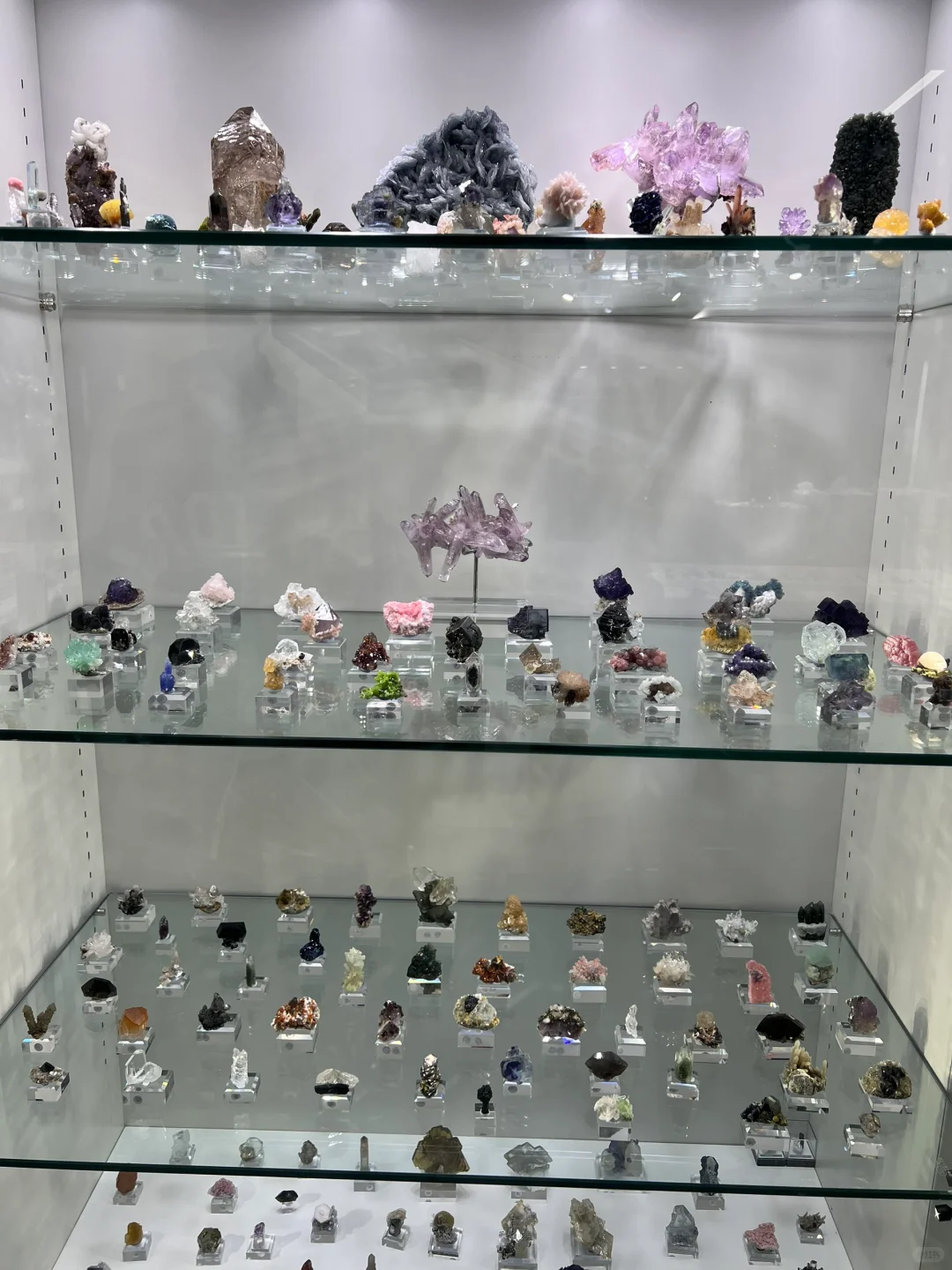 东海国际矿展会