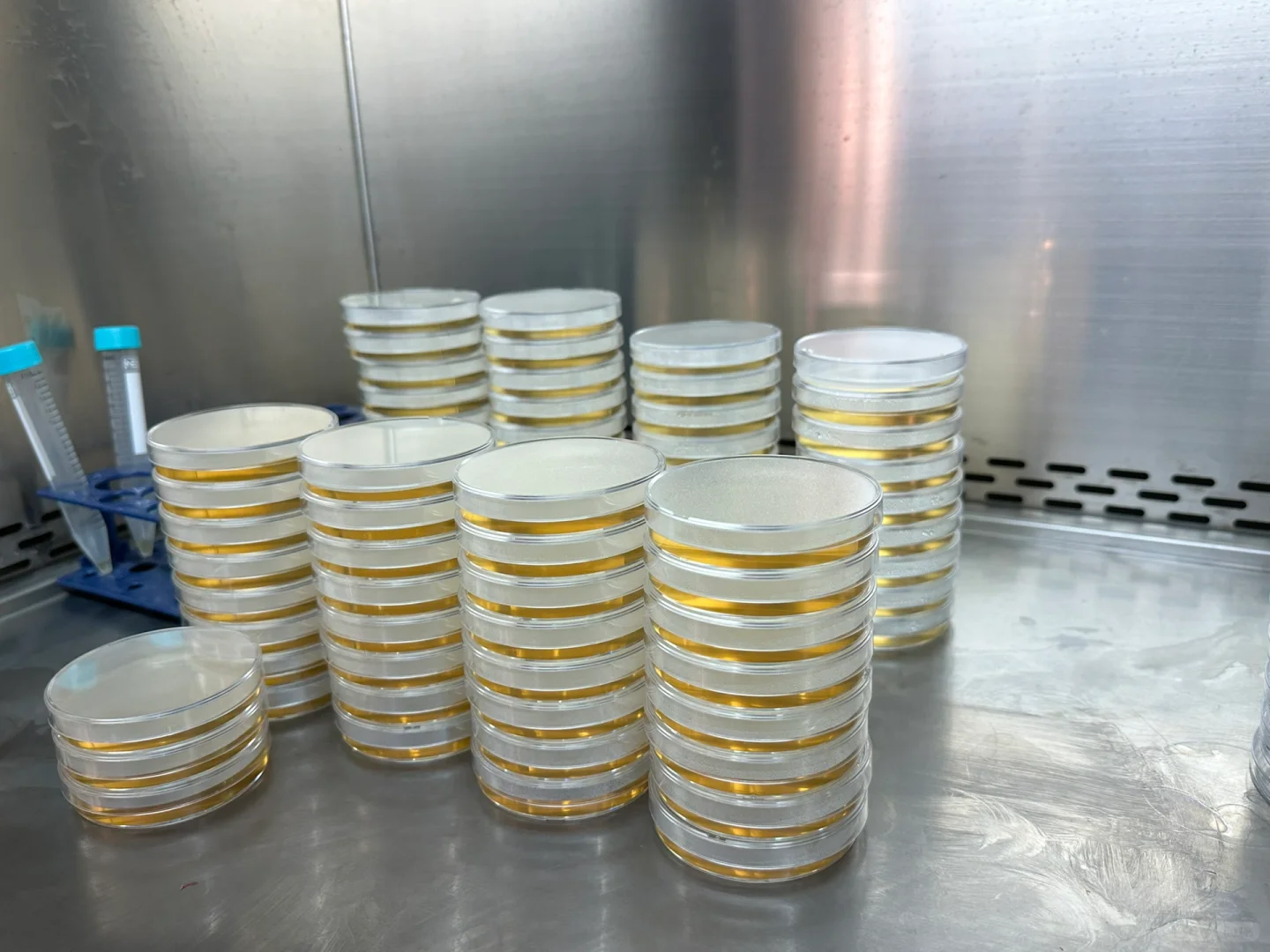 今日成就之配置培养基