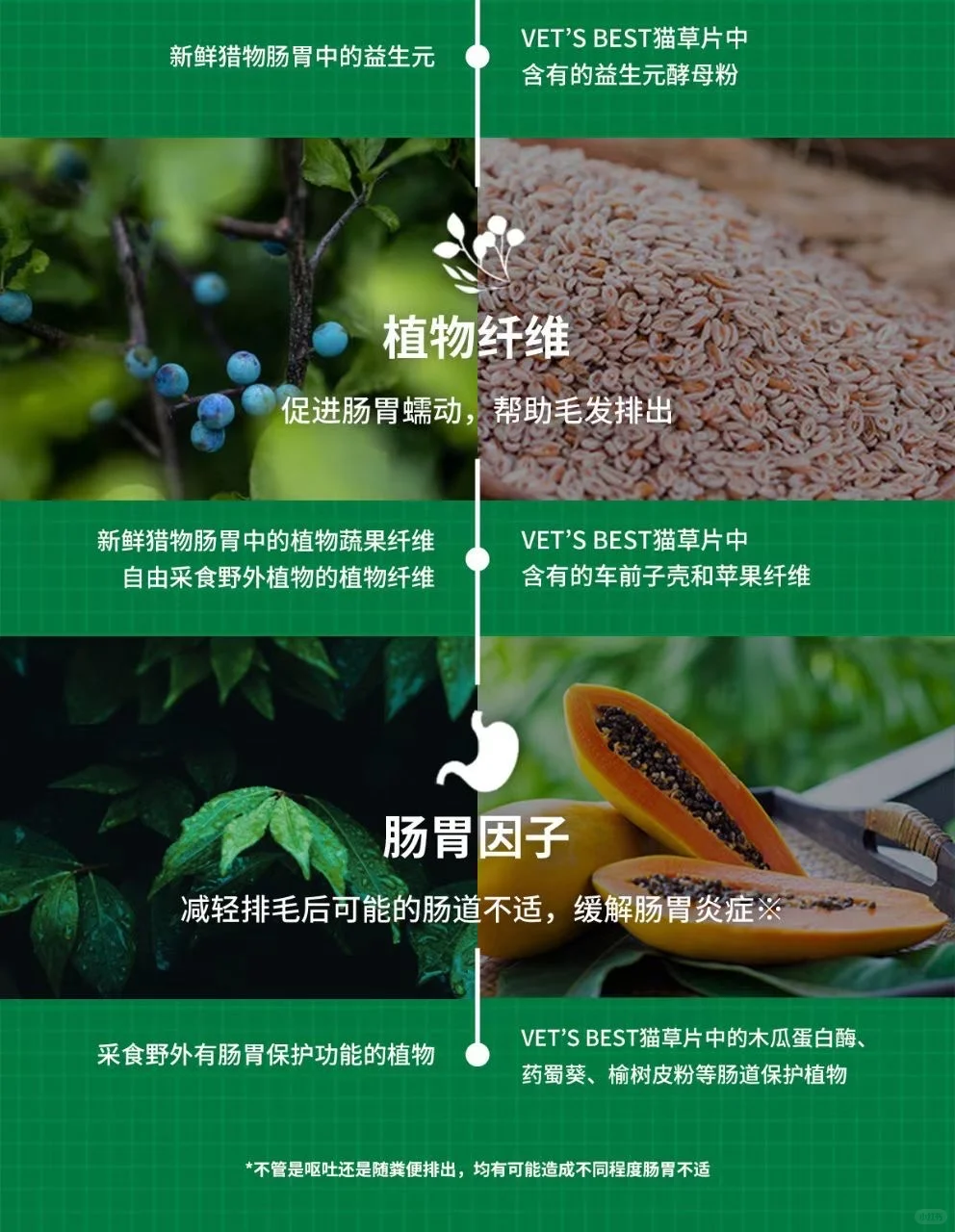 绿十字化毛片，线下专供款，门店合作私