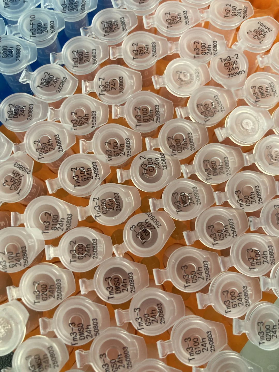 大周末的。。。