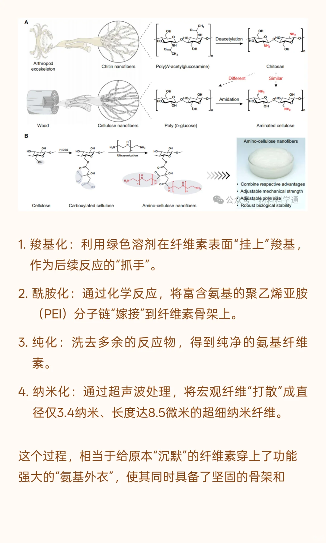 中国科学家用“木头”造出超级生物材料，性