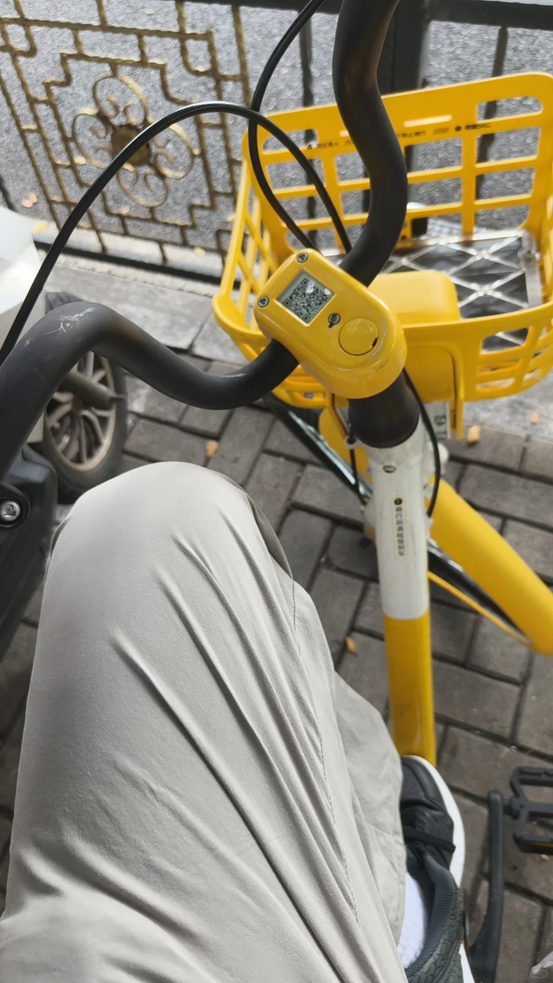 00后兽医入行宠物医疗设备