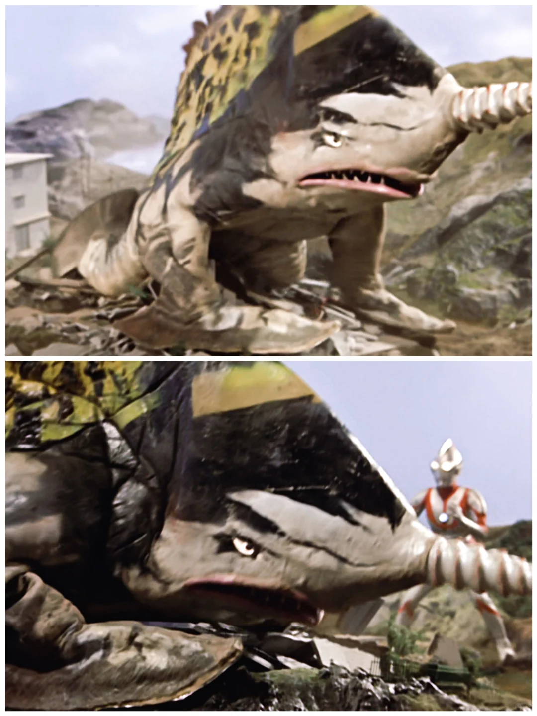 怪兽图鉴|它就这么轻松的破解了八分光轮