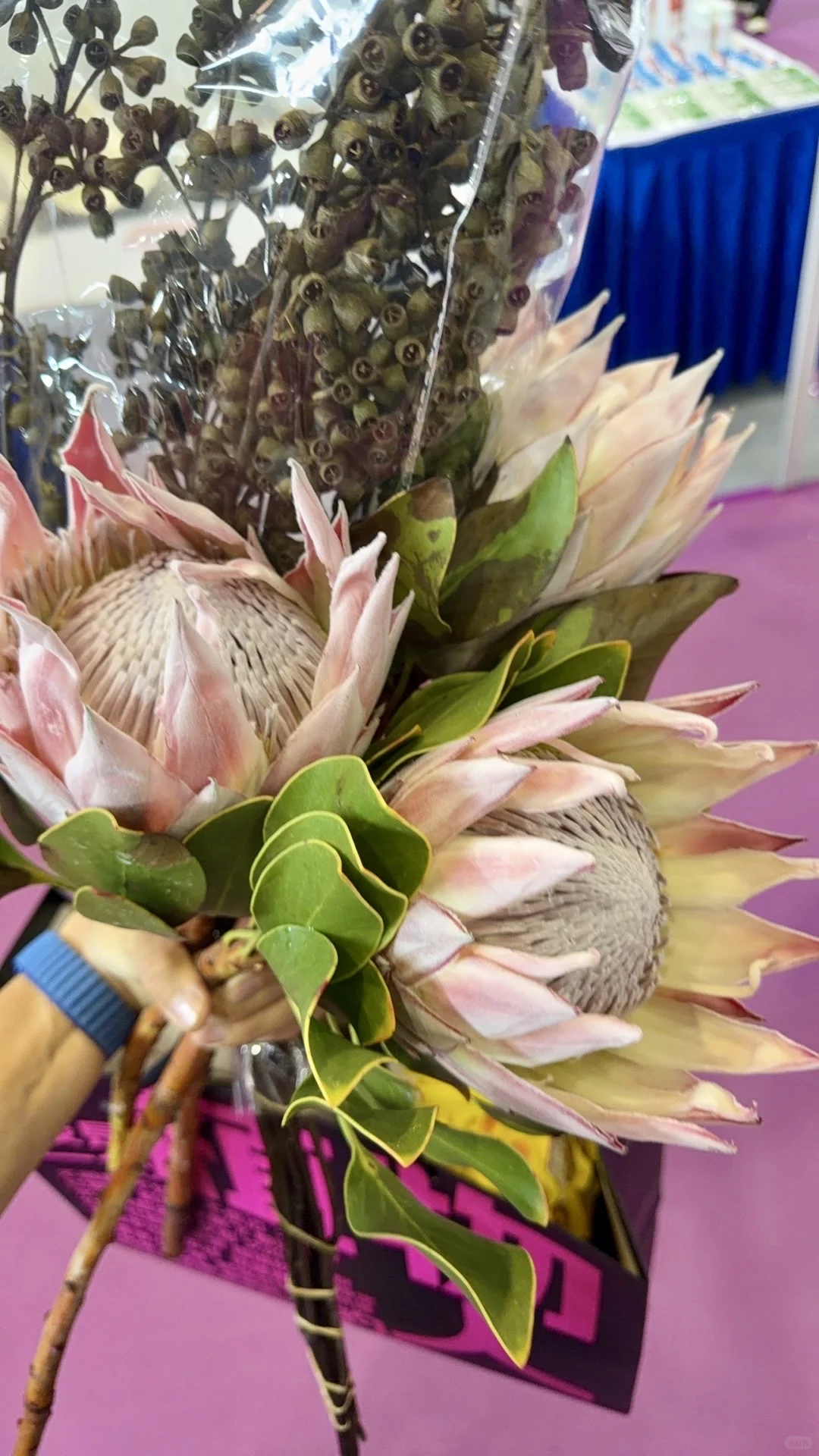 没有人能空手离开无锡热植展?