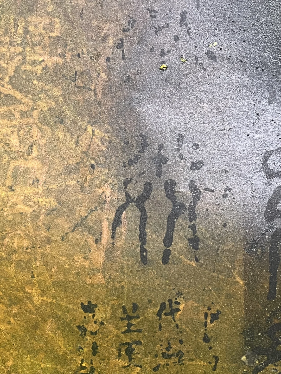 露珠与闪电：郑忠《文脉之光》的刹那澄明