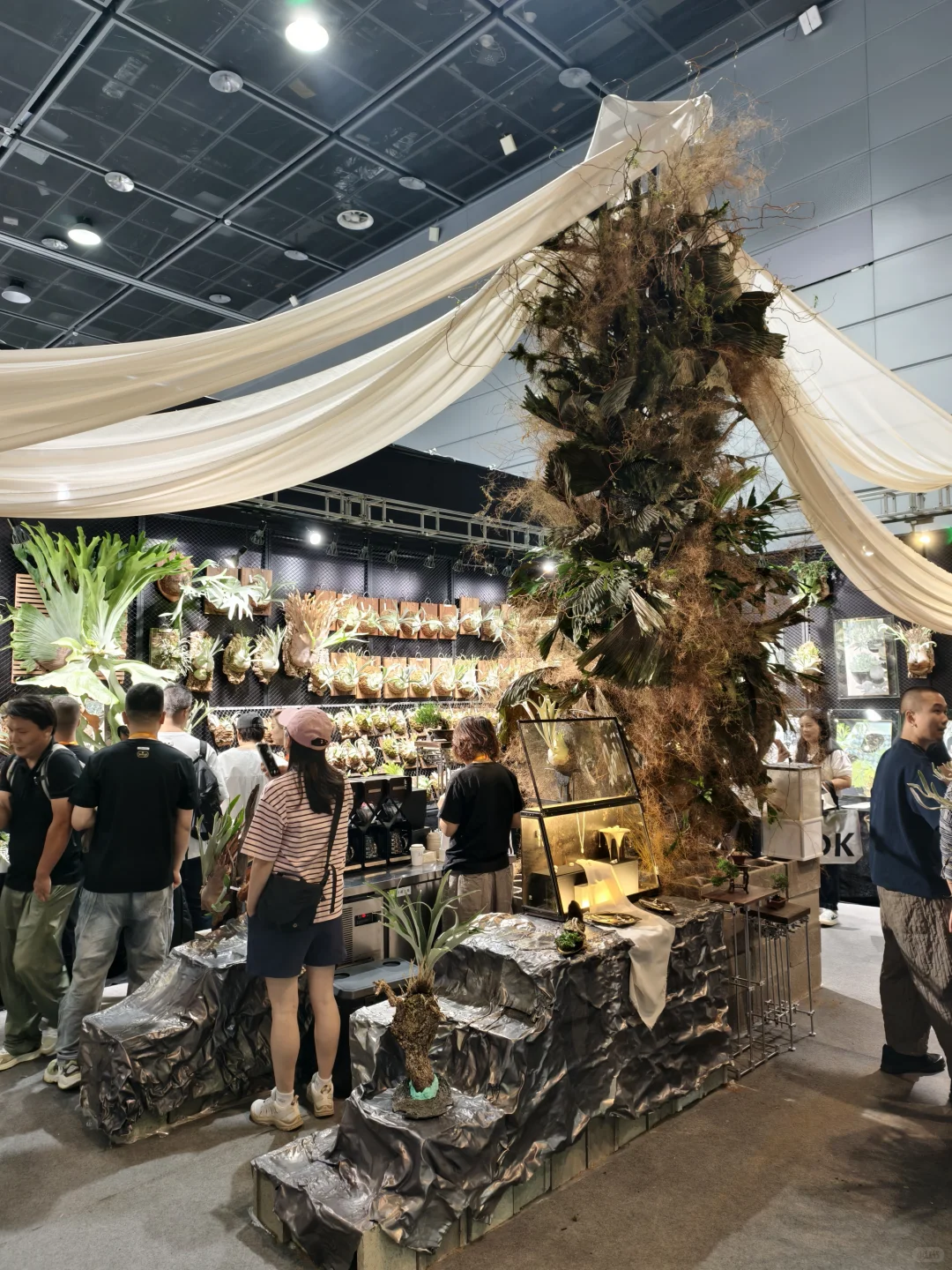 10.17live无锡热植展火热开展?中花大会