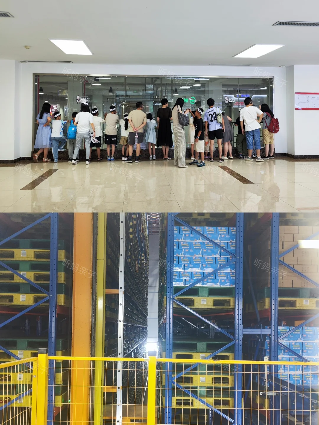 广州遛娃｜周末！亲子参观牛奶工厂生产线！