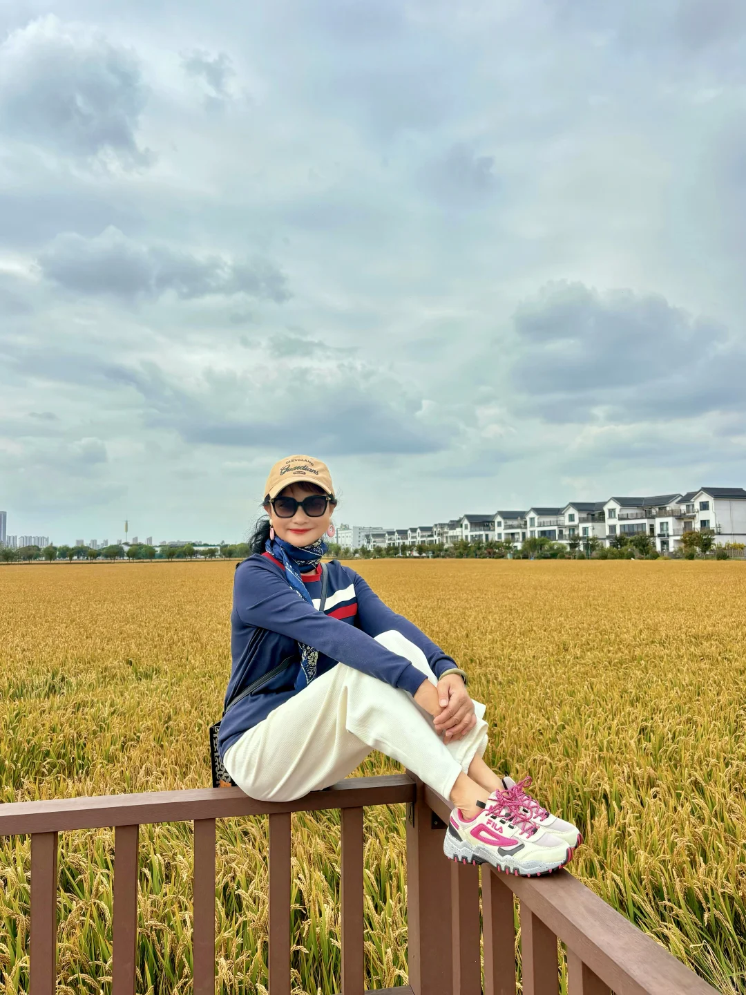 稻海漫过窗棂时,刚好接住了嘉定向阳的秋