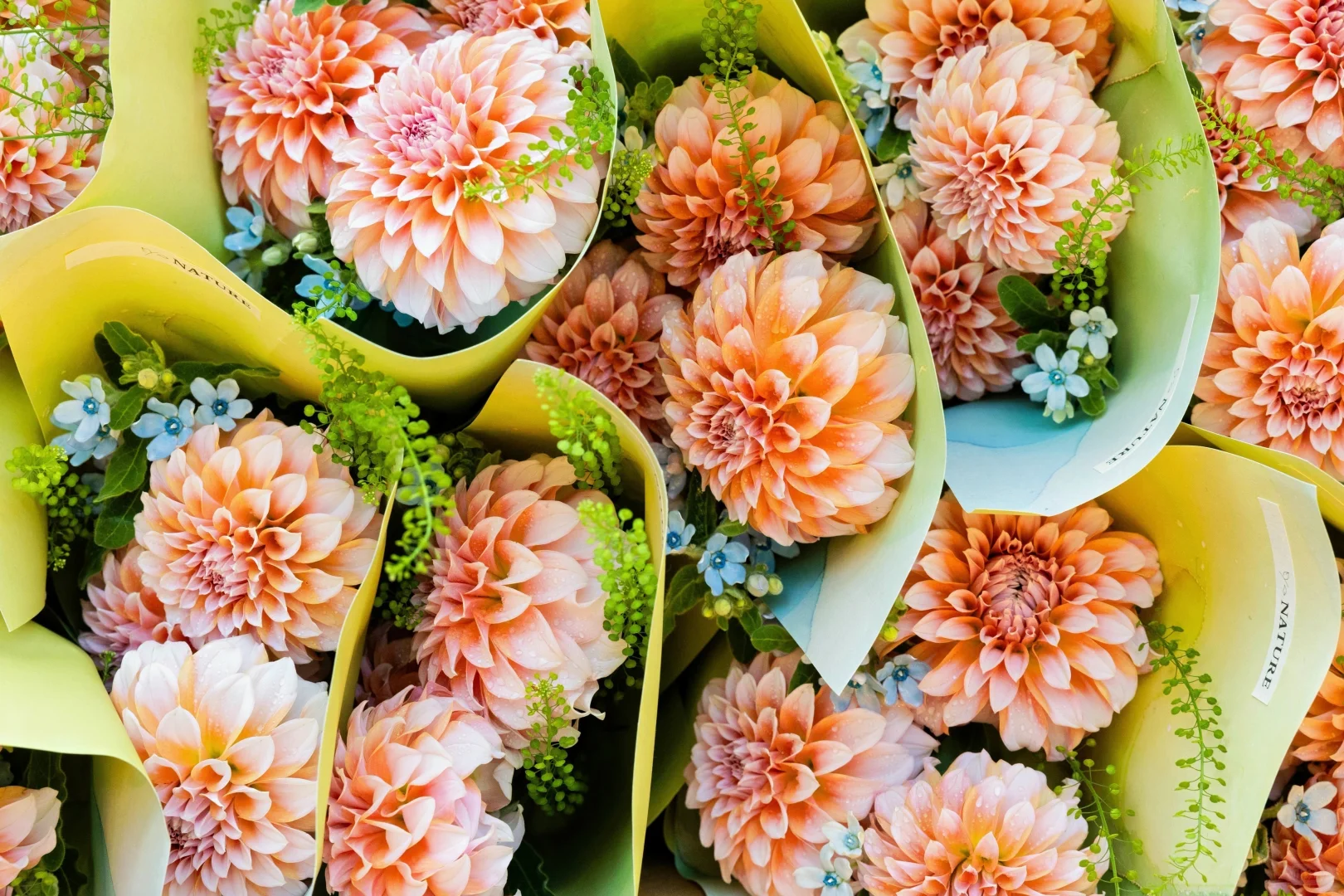 2025优远公司第七届供应商大会圆满落幕