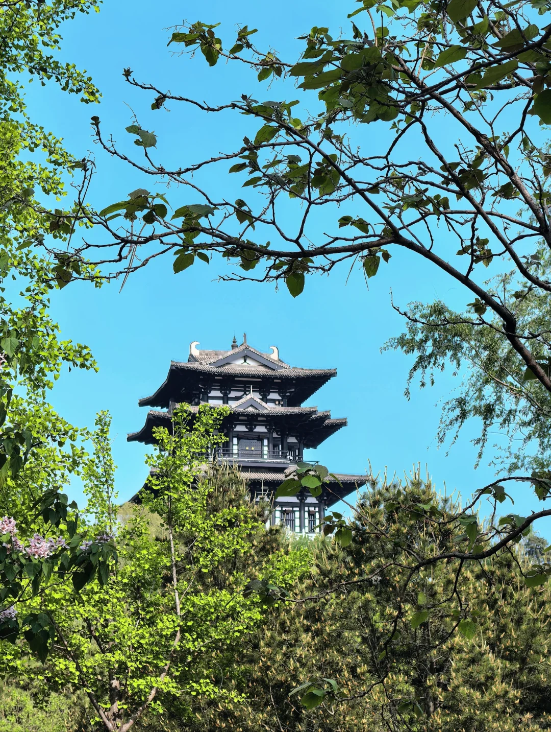 生态环境修复典范