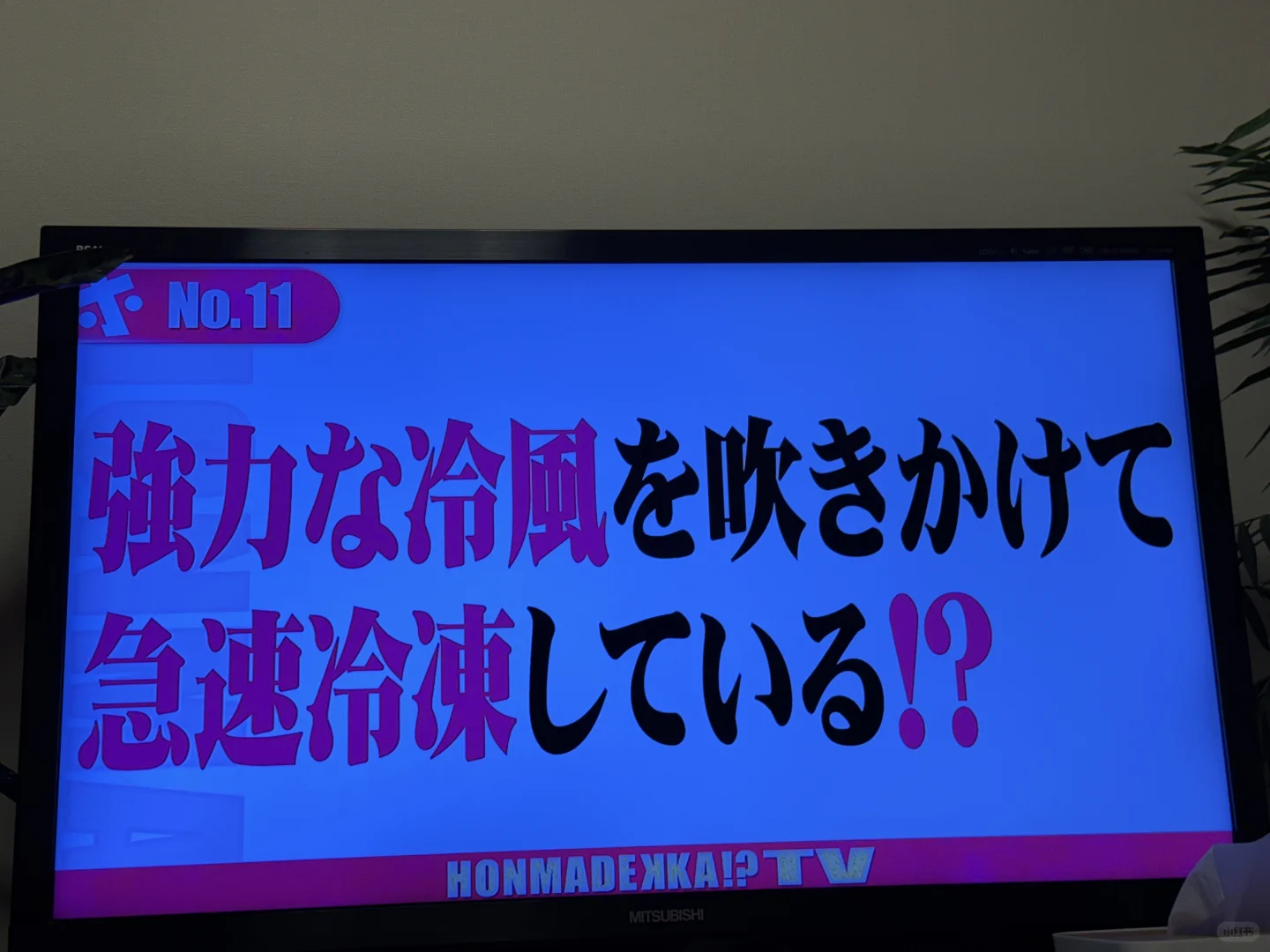不要小看冷冻食品