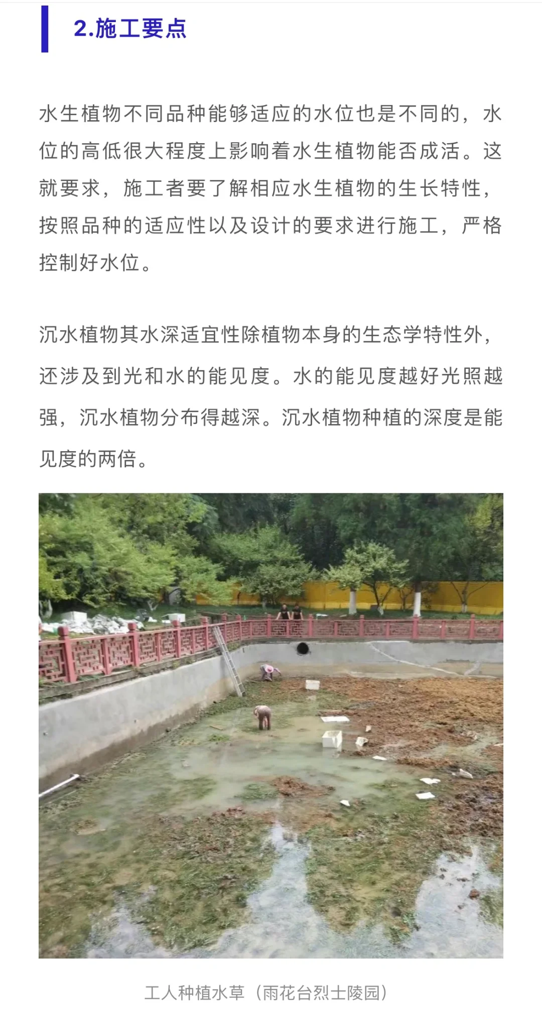 水生植物在水生态修复中的应用问题……