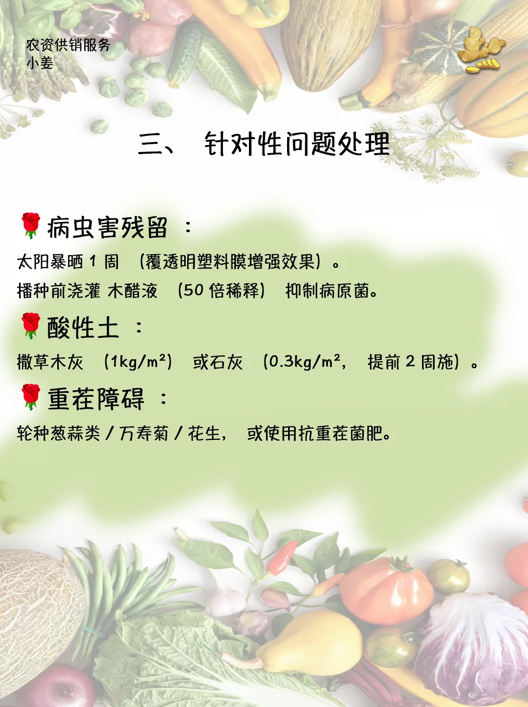 ?【总结篇】小菜园旧土翻新判断及处理