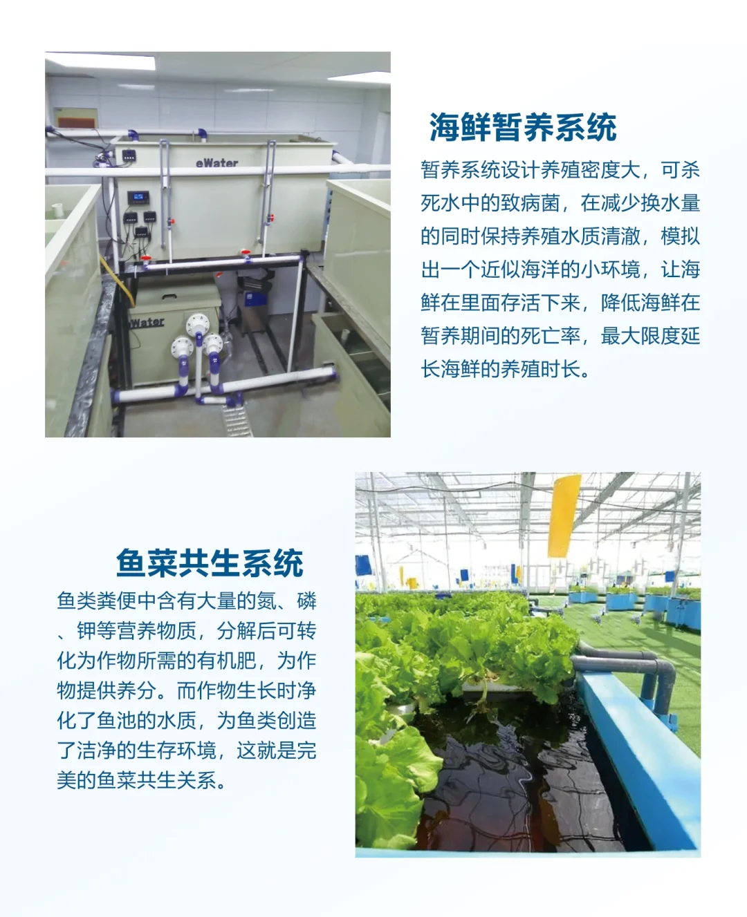 工厂化养殖有什么优点