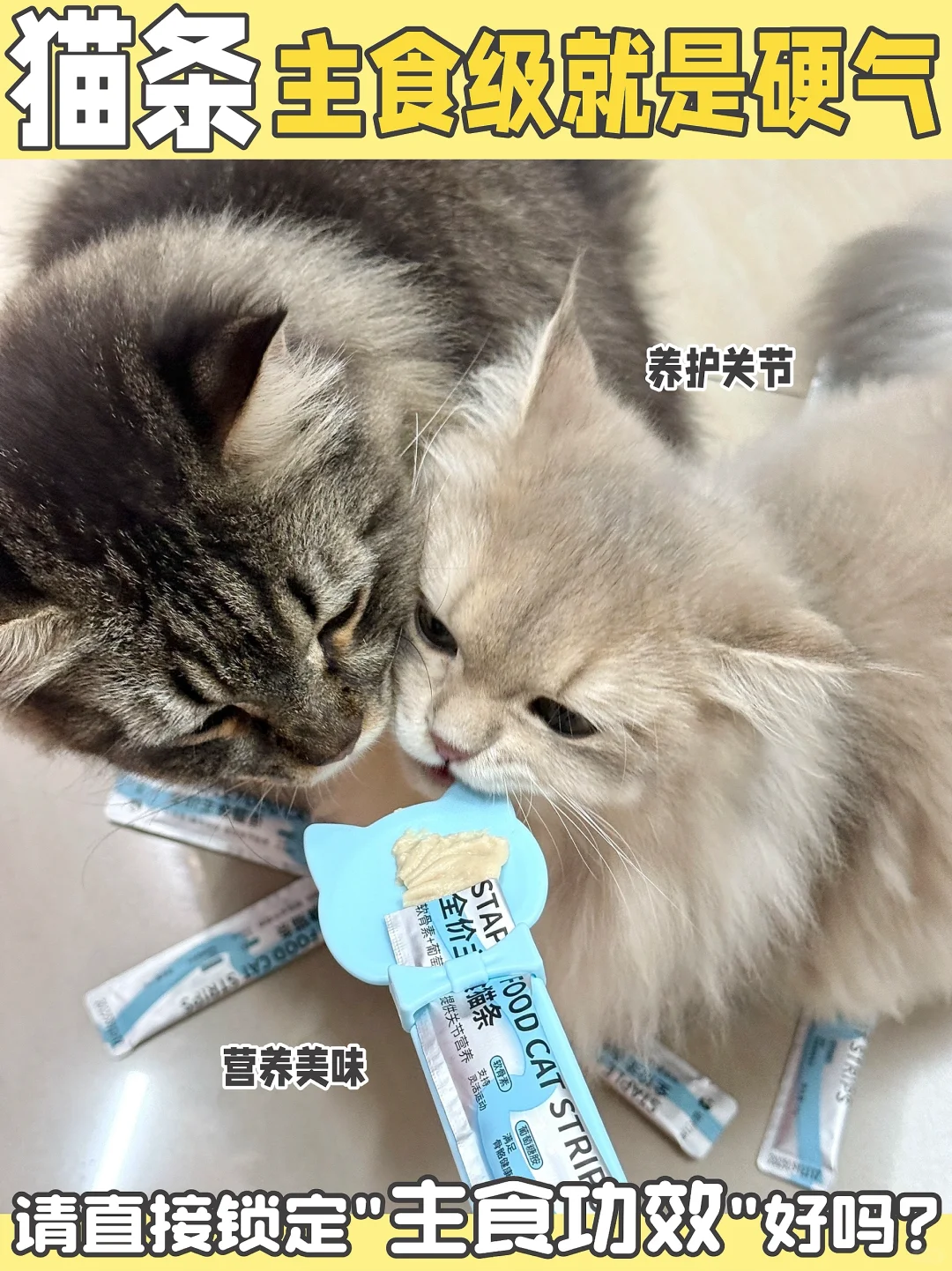 怒囤N+次!从幼到老都在投喂的的功能性猫条