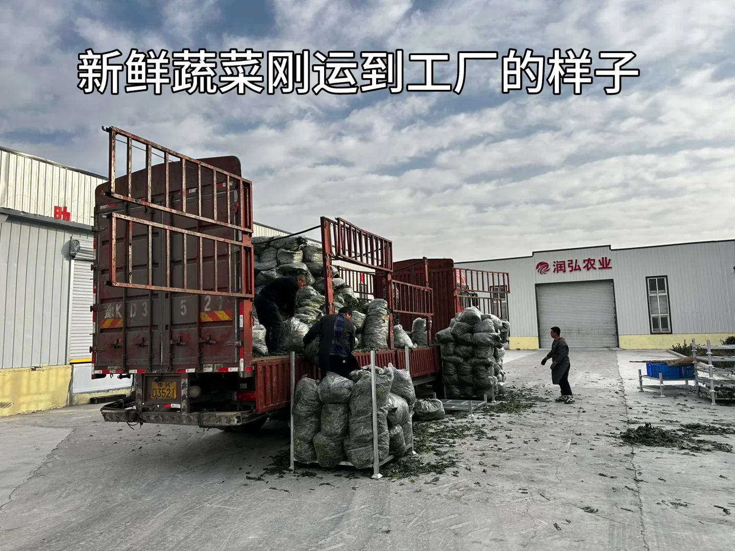 ?速冻蔬菜工厂大公开！让生鲜蔬菜更方便