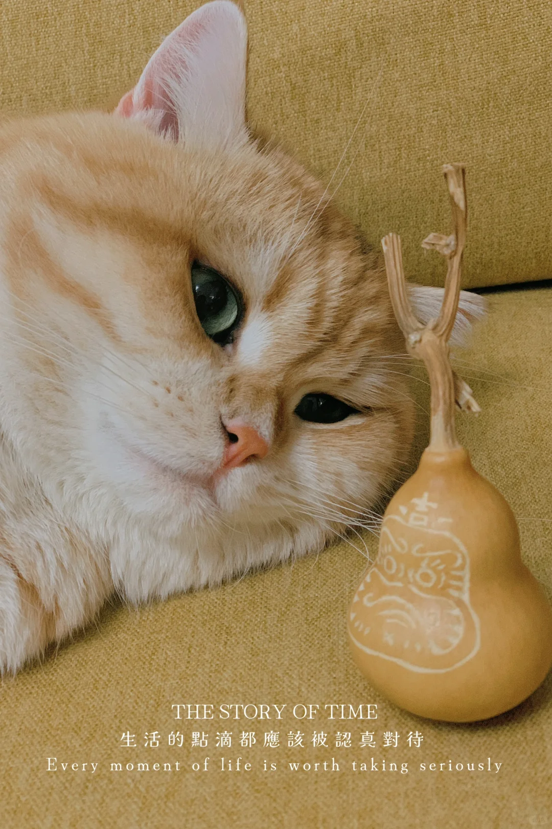 当我入手第5套工具,好像明白点什么