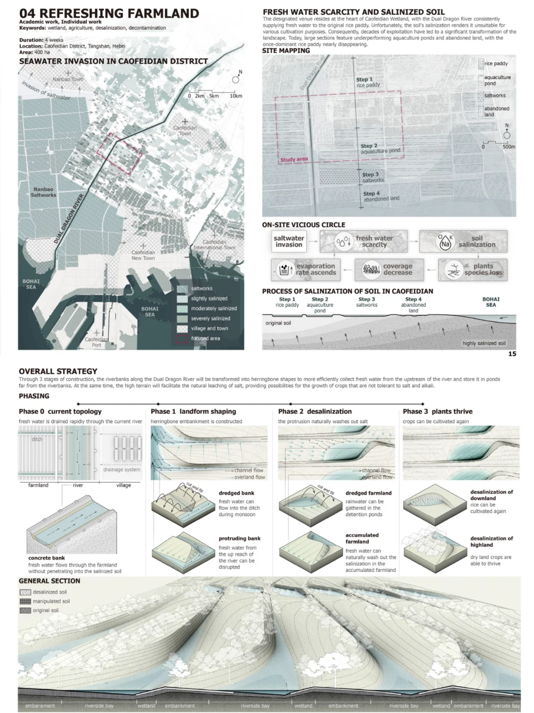 “三步走”盐碱地修复｜哈佛港大TUD景观录取