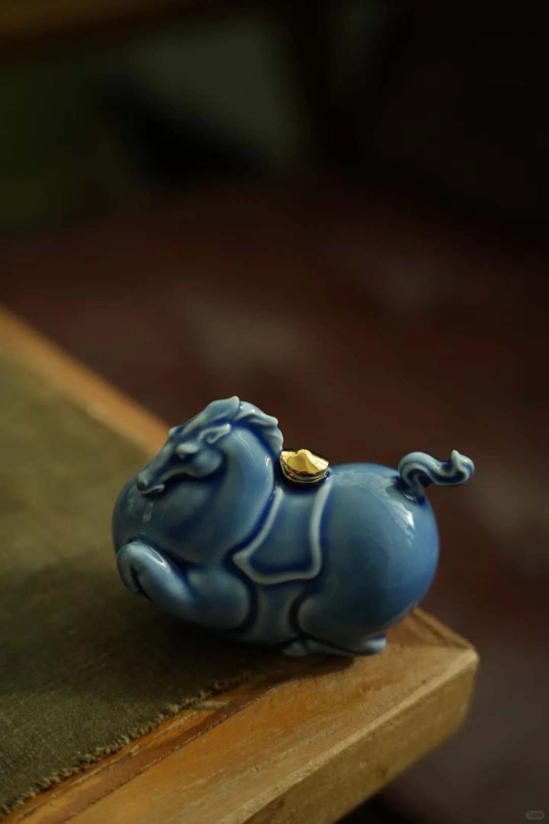 对于这样的小可爱，是完全没有抵抗力，