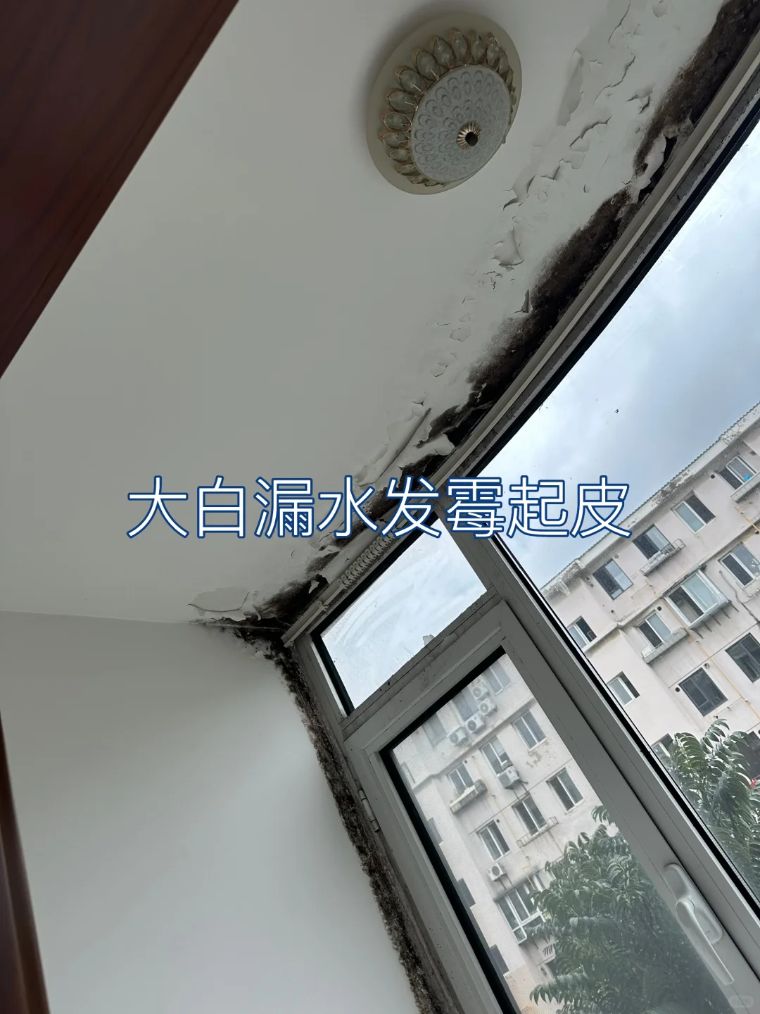 大白漏水发霉起皮脱落怎么处理效果好