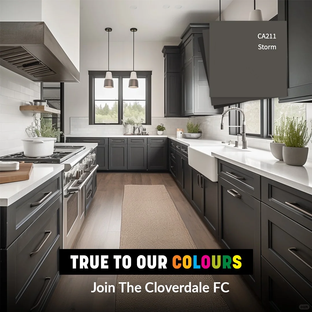 家的厨房，焕新的绿色之选！