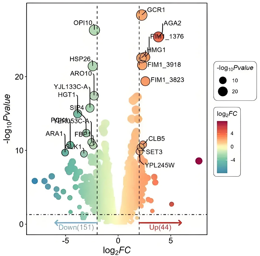 深度学习 机器学习 小目标检测