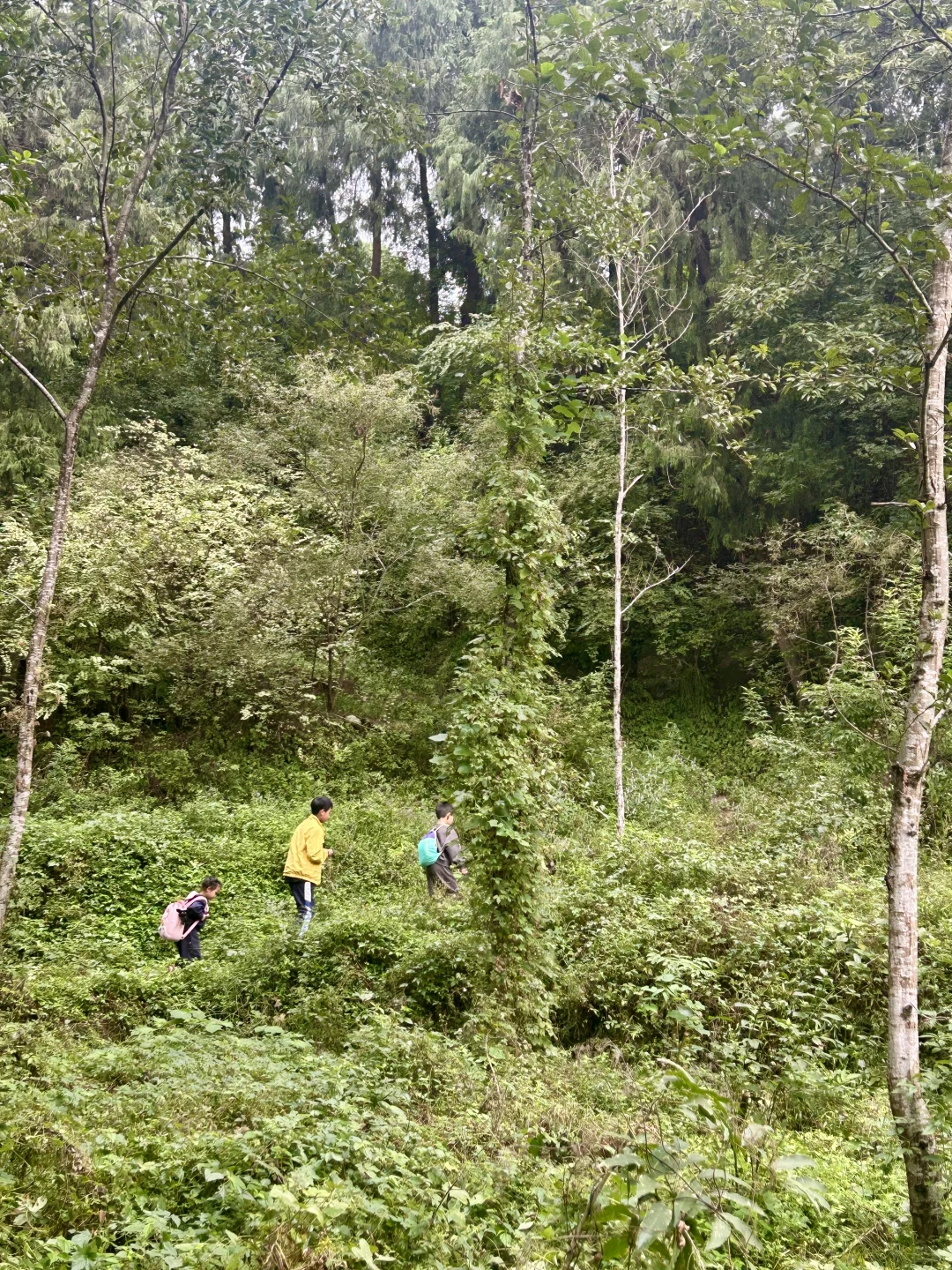 去见⛰️2025年10月26日 金堂梨花沟